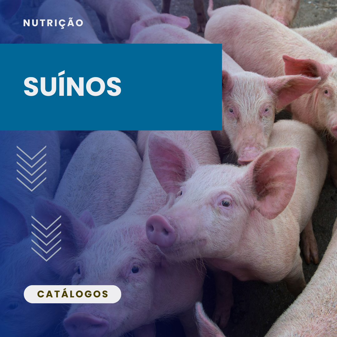 Suínos